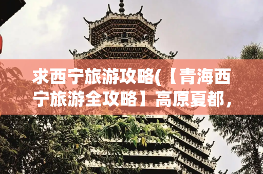 求西宁旅游攻略(【青海西宁旅游全攻略】高原夏都，藏地风情与美食的完美融合！)