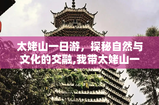 太姥山一日游，探秘自然与文化的交融,我带太姥山一日游