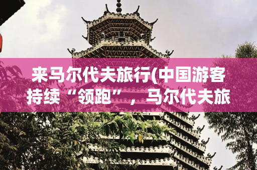 来马尔代夫旅行(中国游客持续“领跑”，马尔代夫旅游业迎来开门红)