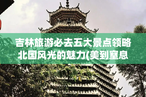 吉林旅游必去五大景点领略北国风光的魅力(美到窒息！冬天到吉林游玩必去的6个地方，赏雪景的天堂，速收藏)