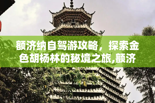 额济纳自驾游攻略，探索金色胡杨林的秘境之旅,额济纳自驾游攻略，额济纳自助游攻略