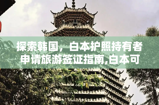 探索韩国，白本护照持有者申请旅游签证指南,白本可以申请韩国旅游签证吗