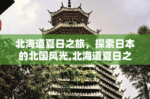 北海道夏日之旅，探索日本的北国风光,北海道夏日之旅