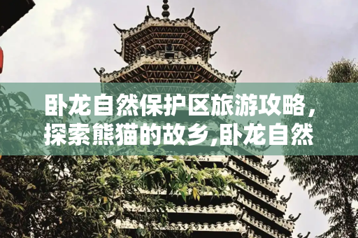 卧龙自然保护区旅游攻略，探索熊猫的故乡,卧龙自然保护区旅游攻略