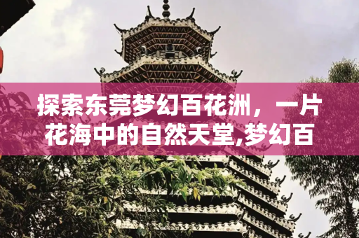 探索东莞梦幻百花洲，一片花海中的自然天堂,梦幻百花洲在东莞哪个地方，东莞梦幻百花洲地址