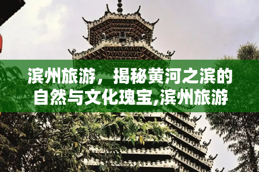 滨州旅游，揭秘黄河之滨的自然与文化瑰宝,滨州旅游,探索滨州的美丽风光和独特魅力