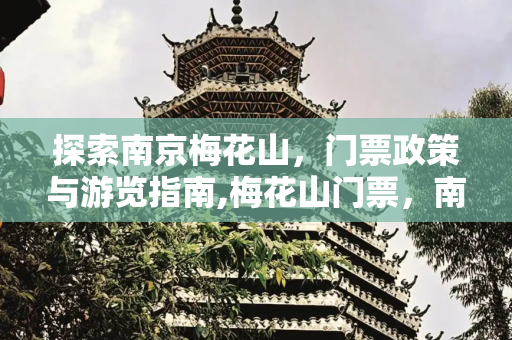 探索南京梅花山，门票政策与游览指南,梅花山门票，南京梅花山需要门票吗