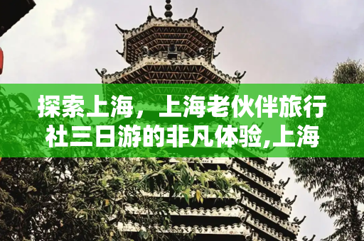 探索上海，上海老伙伴旅行社三日游的非凡体验,上海旅游社团，上海老伙伴旅行社三日游