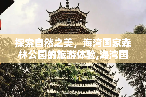 探索自然之美，海湾国家森林公园的旅游体验,海湾国家森林公园旅游