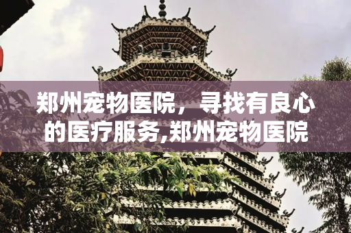郑州宠物医院，寻找有良心的医疗服务,郑州宠物医院，郑州有良心的宠物医院