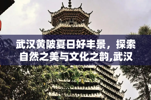 武汉黄陂夏日好丰景，探索自然之美与文化之韵,武汉黄陂夏日好丰景武汉黄陂区有很多美丽的夏日风景，以下是一些推荐
