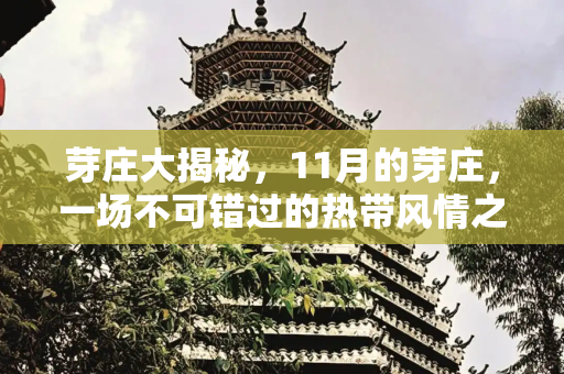 芽庄大揭秘，11月的芽庄，一场不可错过的热带风情之旅,芽庄大揭秘，带你探索11月的芽庄