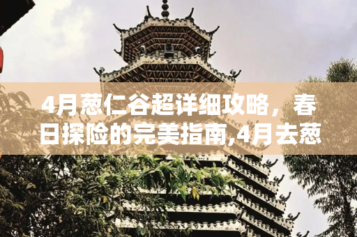 4月葱仁谷超详细攻略，春日探险的完美指南,4月去葱仁谷须知，超详细攻略