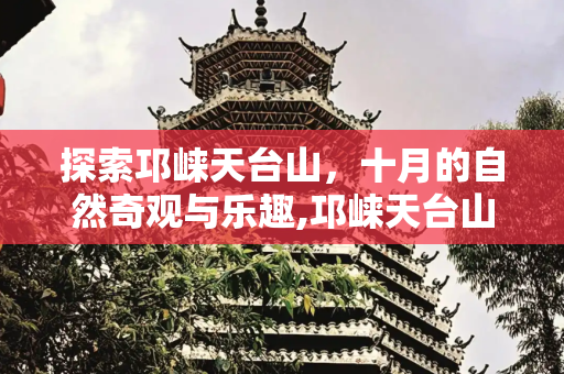彩虹资讯 第73页