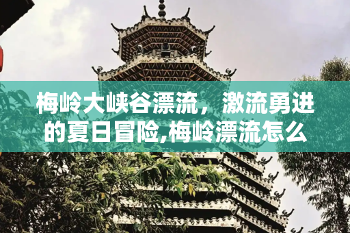 梅岭大峡谷漂流，激流勇进的夏日冒险,梅岭漂流怎么样，梅岭大峡谷漂流