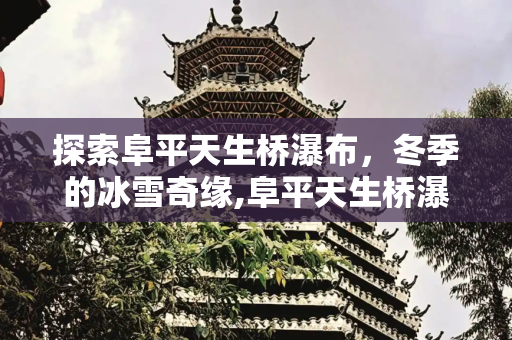 彩虹资讯 第70页