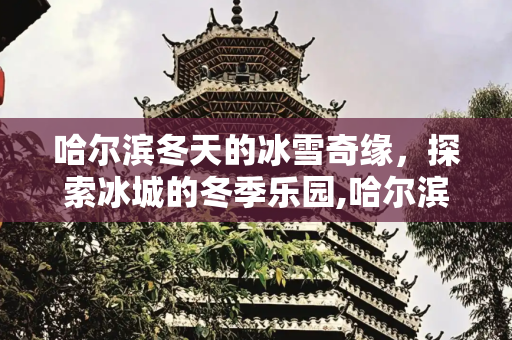哈尔滨冬天的冰雪奇缘，探索冰城的冬季乐园,哈尔滨冬天有哪些游玩的地方
