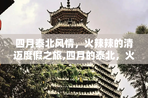 彩虹资讯 第67页