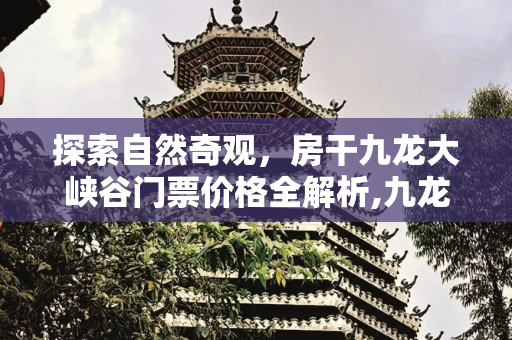探索自然奇观，房干九龙大峡谷门票价格全解析,九龙大峡谷门票多少钱，房干九龙大峡谷门票多少钱