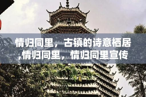 情归同里，古镇的诗意栖居,情归同里，情归同里宣传片