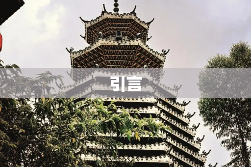 引言