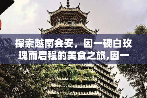 探索越南会安，因一碗白玫瑰而启程的美食之旅,因一种美食，而亲赴一座城——越南会安