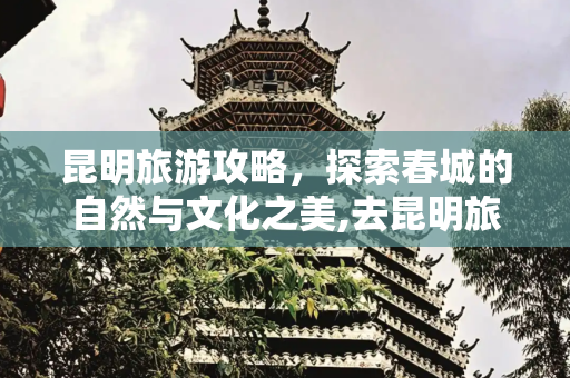 昆明旅游攻略，探索春城的自然与文化之美,去昆明旅游，昆明旅游攻略