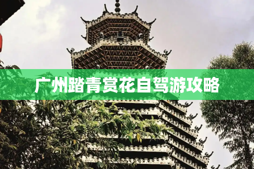 广州踏青赏花自驾游攻略