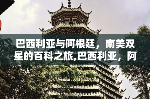 巴西利亚与阿根廷，南美双星的百科之旅,巴西利亚，阿根廷百度百科
