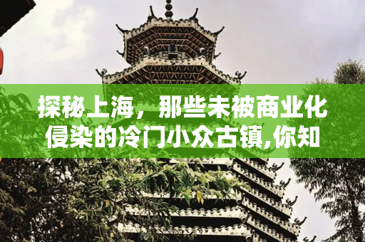 彩虹资讯 第55页