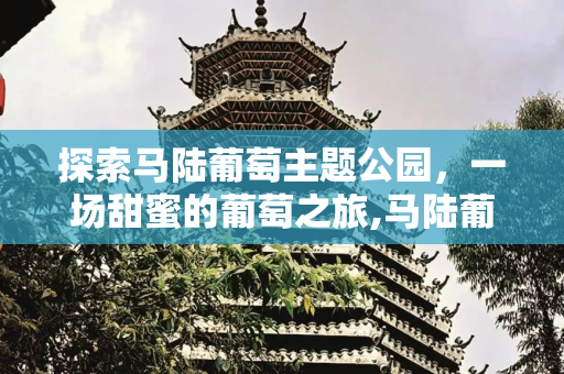 探索马陆葡萄主题公园，一场甜蜜的葡萄之旅,马陆葡萄主题公园地址，去马陆葡萄园