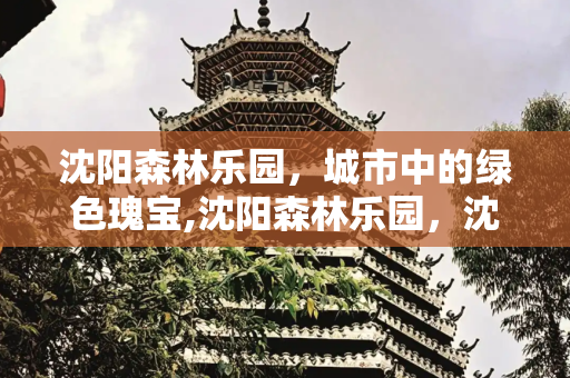 沈阳森林乐园，城市中的绿色瑰宝,沈阳森林乐园，沈阳森林乐园营业吗