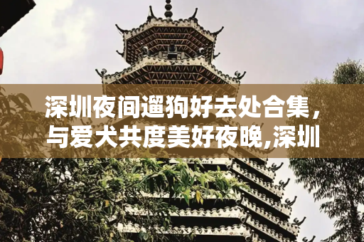深圳夜间遛狗好去处合集，与爱犬共度美好夜晚,深圳夜间遛狗好去处合集