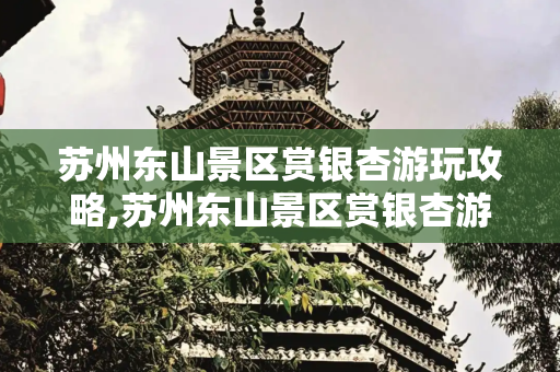 苏州东山景区赏银杏游玩攻略,苏州东山景区赏银杏游玩攻略