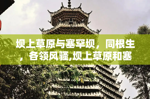 坝上草原与塞罕坝，同根生，各领风骚,坝上草原和塞罕坝，塞罕坝草原和坝上草原是一个地方吗