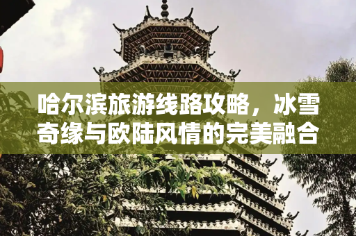 哈尔滨旅游线路攻略，冰雪奇缘与欧陆风情的完美融合,哈尔滨旅游线路攻略